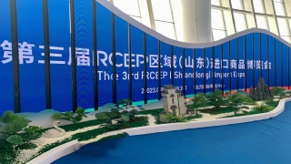 第三届RCEP区域（山东）进口商品博览会凸显“会展+”效应